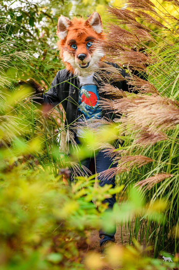 Justafox0, Eurofurence, September 2024