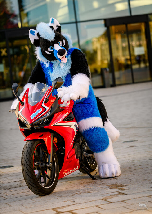 Ludra, Eurofurence, September 2024