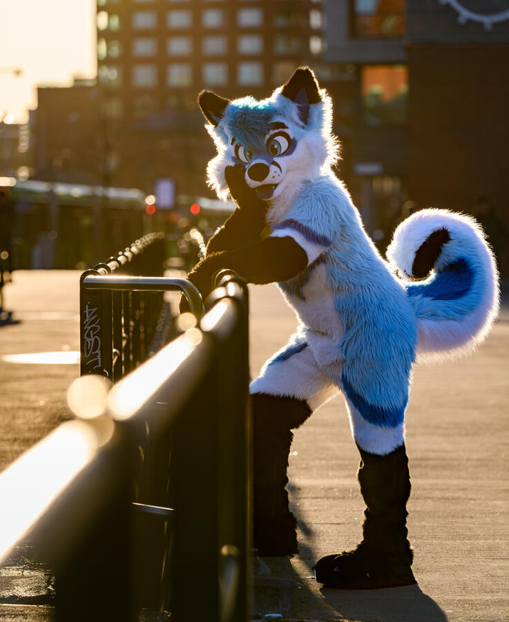 AuriFusky, NordicFuzzCon, February 2024