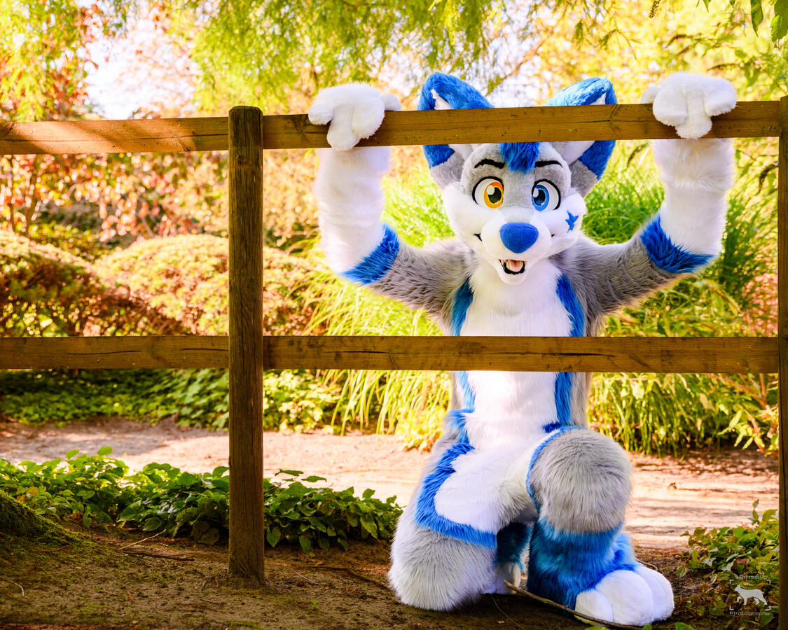 Falki, Eurofurence, September 2024