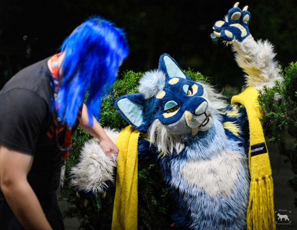 Erel, Awoostria, July 2024