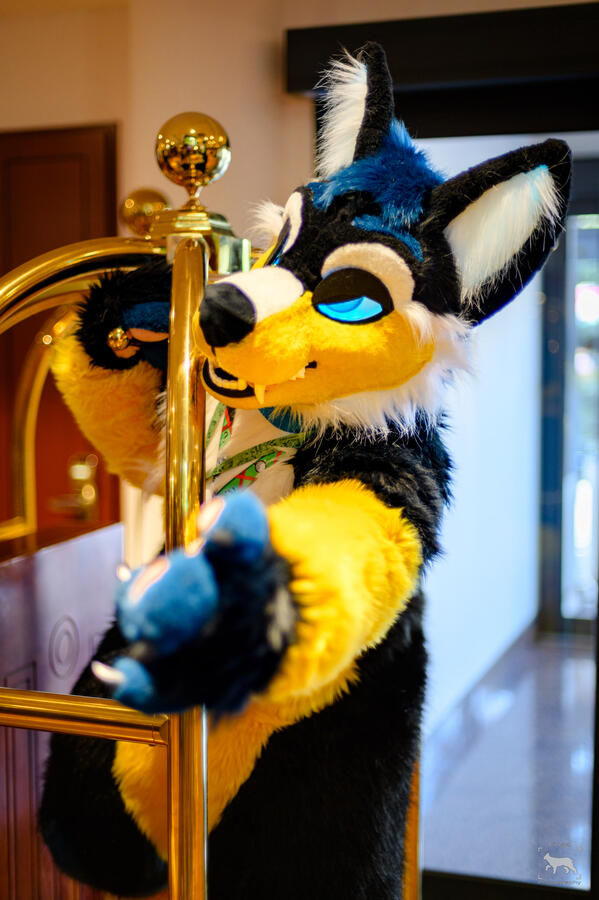 Hazel, NordicFuzzCon, February 2025