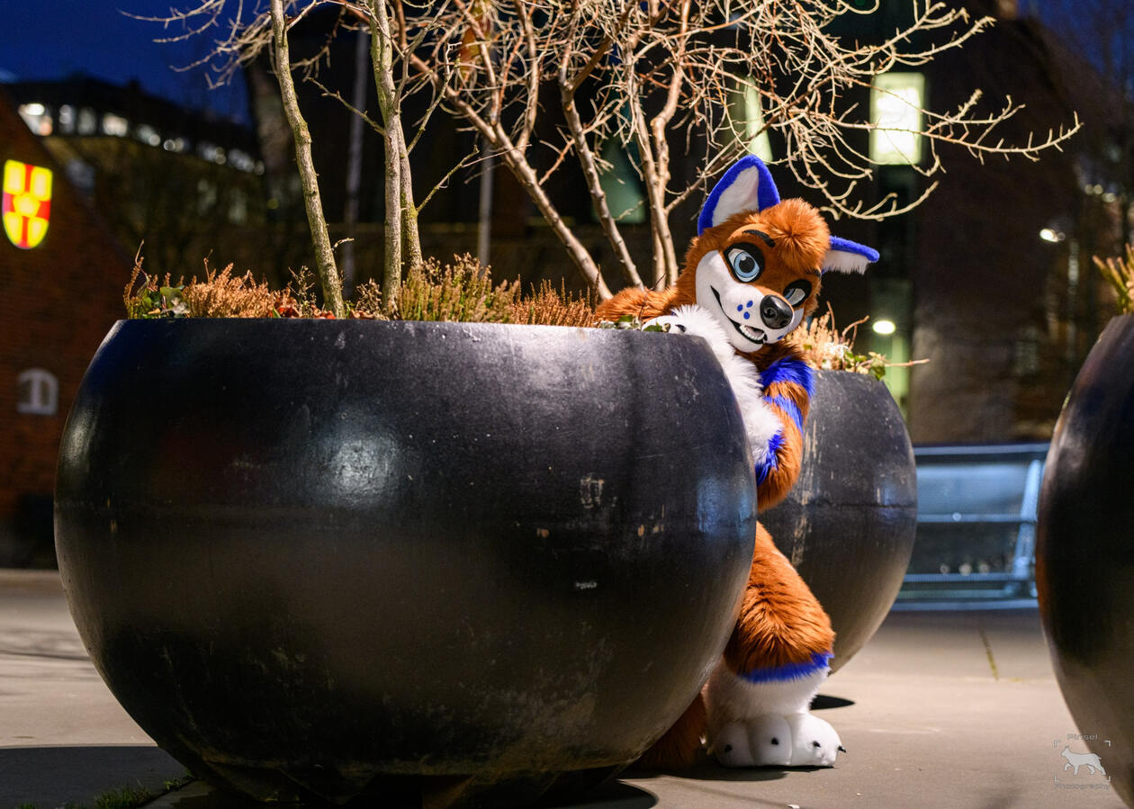 Malunis, NordicFuzzCon, February 2024