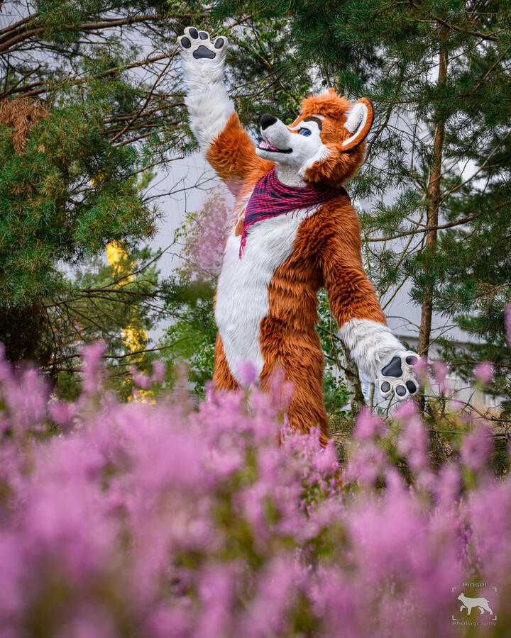 Floeke, Tropical Furry Islands, September 2023