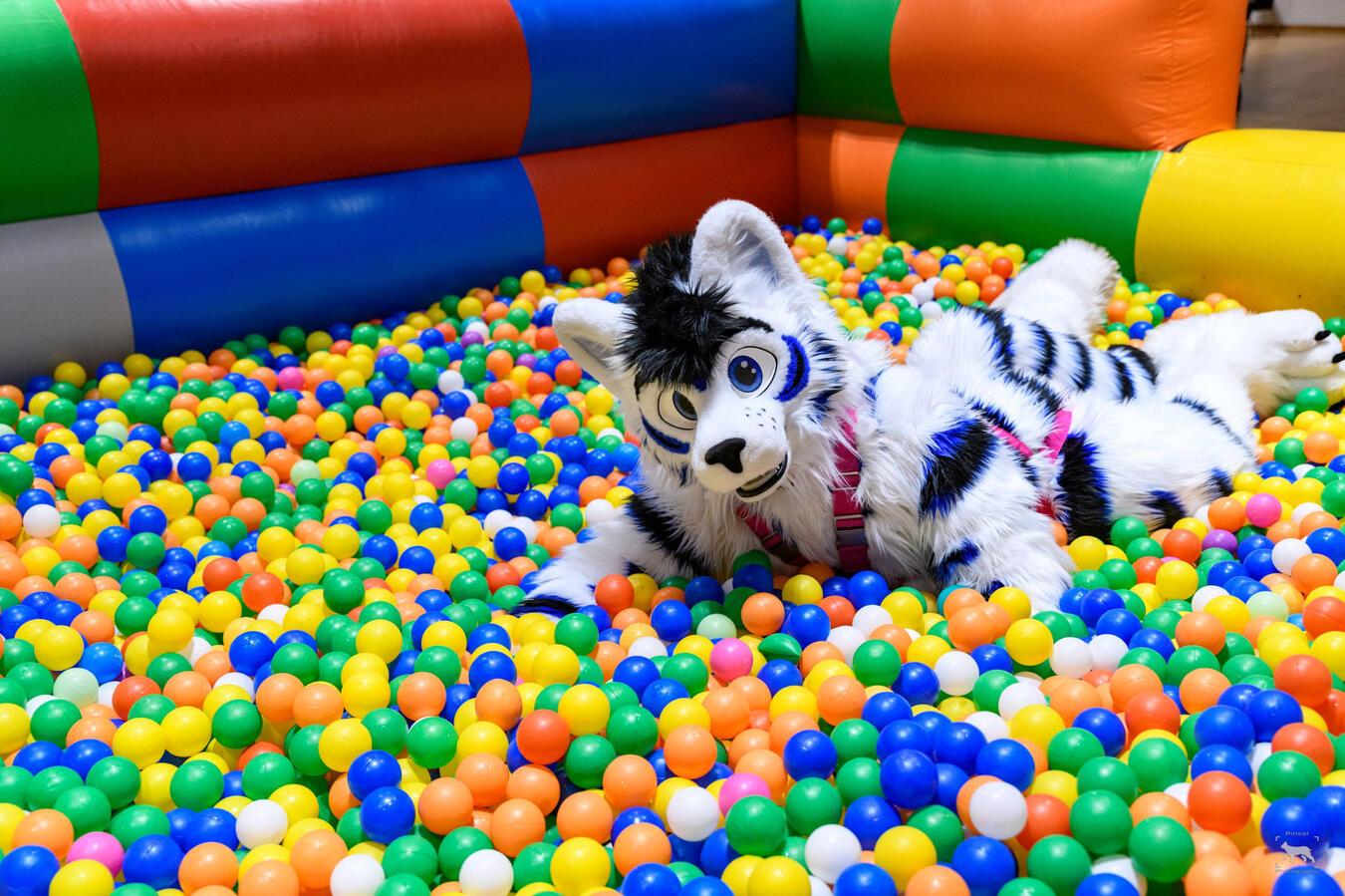 Gallaxus, Awoostria, July 2024