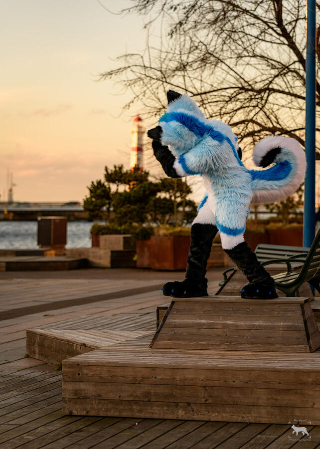 AuriFusky, NordicFuzzCon, February 2024