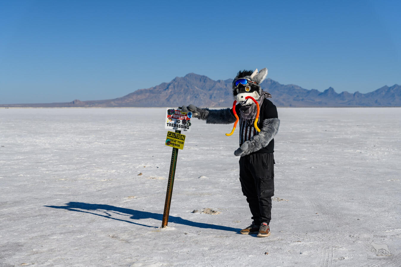 Nahalo @ Salt Lake City, Utah (October 2023)
