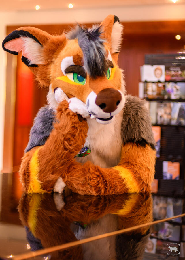 Mote, Awoostria, July 2024