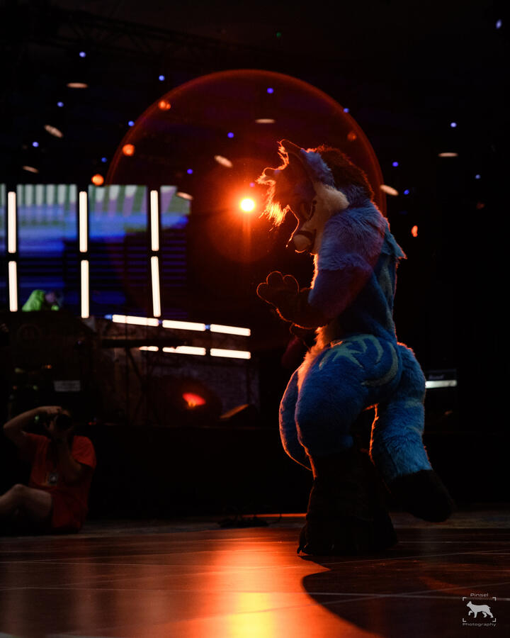 Dance Competition, Biggest Little Furcon, October 2023