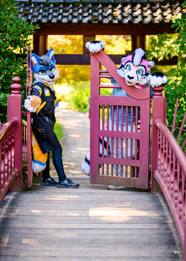 Paka & Nexus, Custom Photoshoot, August 2024