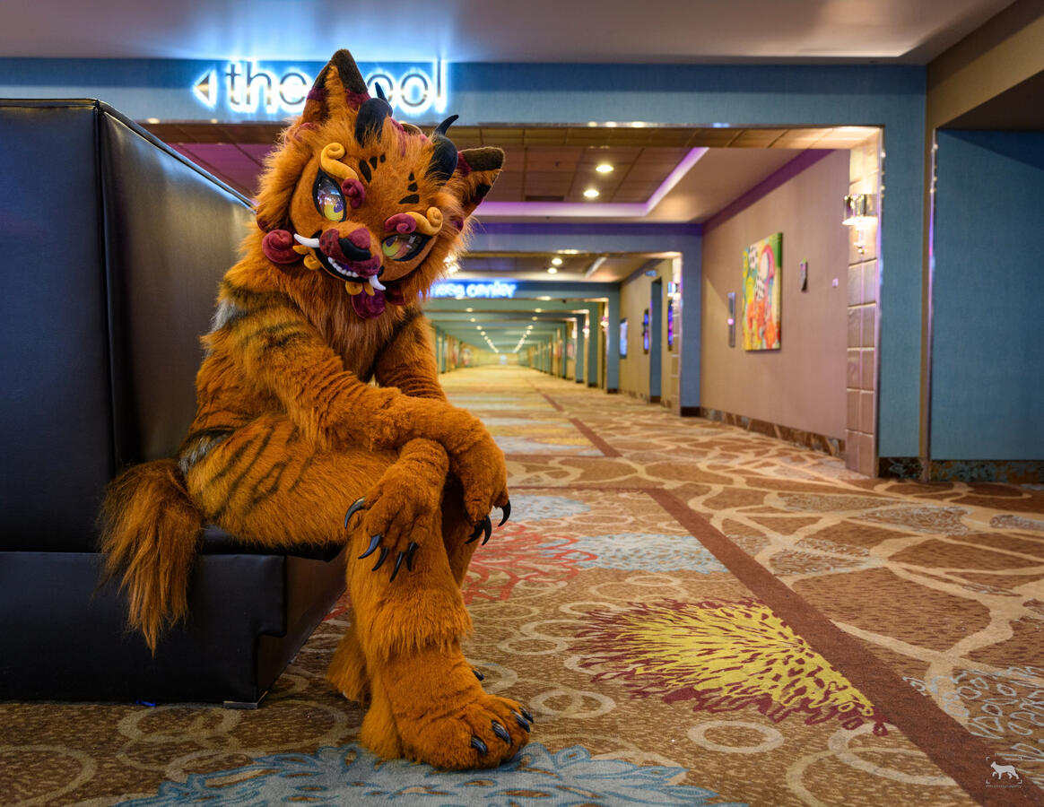Shangfudog, Biggest Little Furcon, October 2023