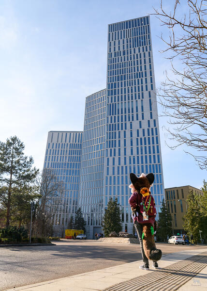 Hazel, NordicFuzzCon, February 2025